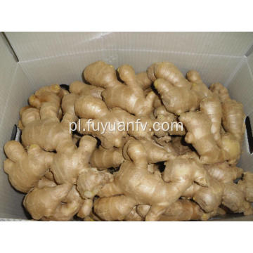 Świeże ziemniaki w sprzedaży